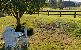 Mangaroa, Farmstay